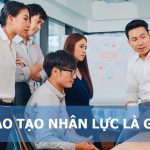 Quy trình phát triển sản phẩm mới bao gồm các bước nào ?